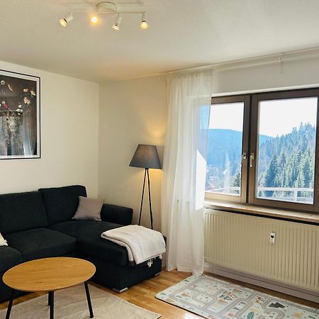 Ferienwohnung Panoramablick - Super Fuer Deine Familie Und Die Besten Aussicht In Ganz Тодтмос Екстериор снимка