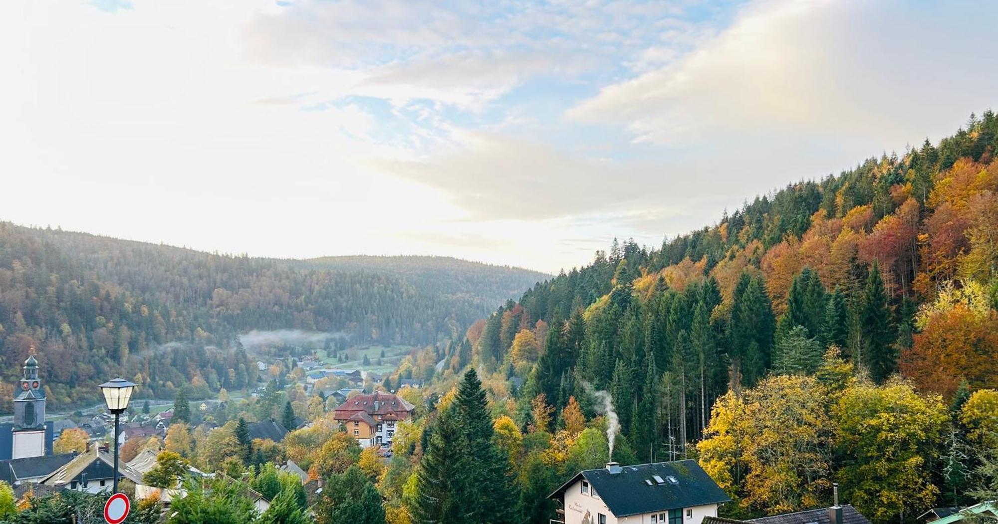 Ferienwohnung Panoramablick - Super Fuer Deine Familie Und Die Besten Aussicht In Ganz Тодтмос Екстериор снимка