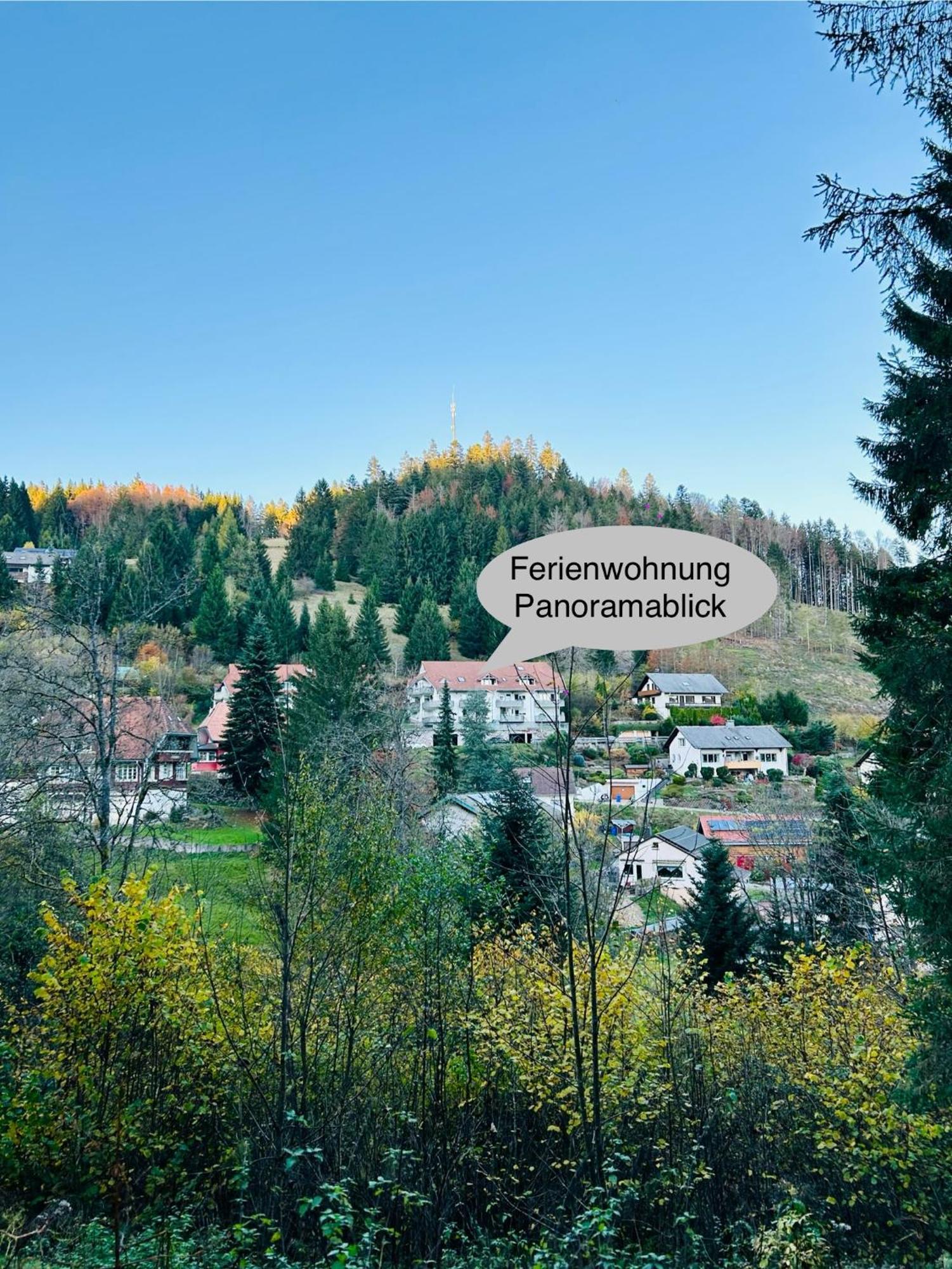 Ferienwohnung Panoramablick - Super Fuer Deine Familie Und Die Besten Aussicht In Ganz Тодтмос Екстериор снимка