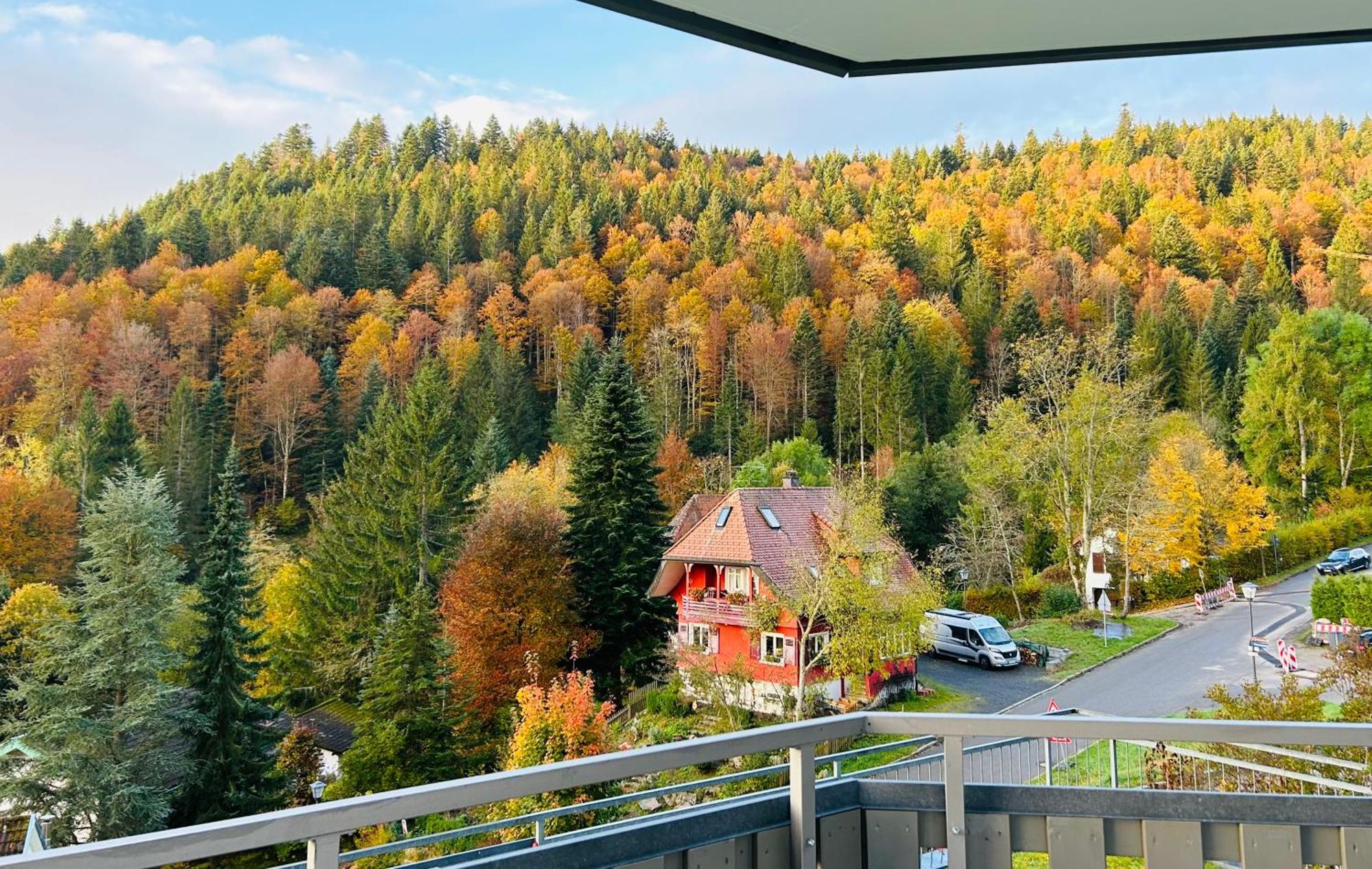 Ferienwohnung Panoramablick - Super Fuer Deine Familie Und Die Besten Aussicht In Ganz Тодтмос Екстериор снимка