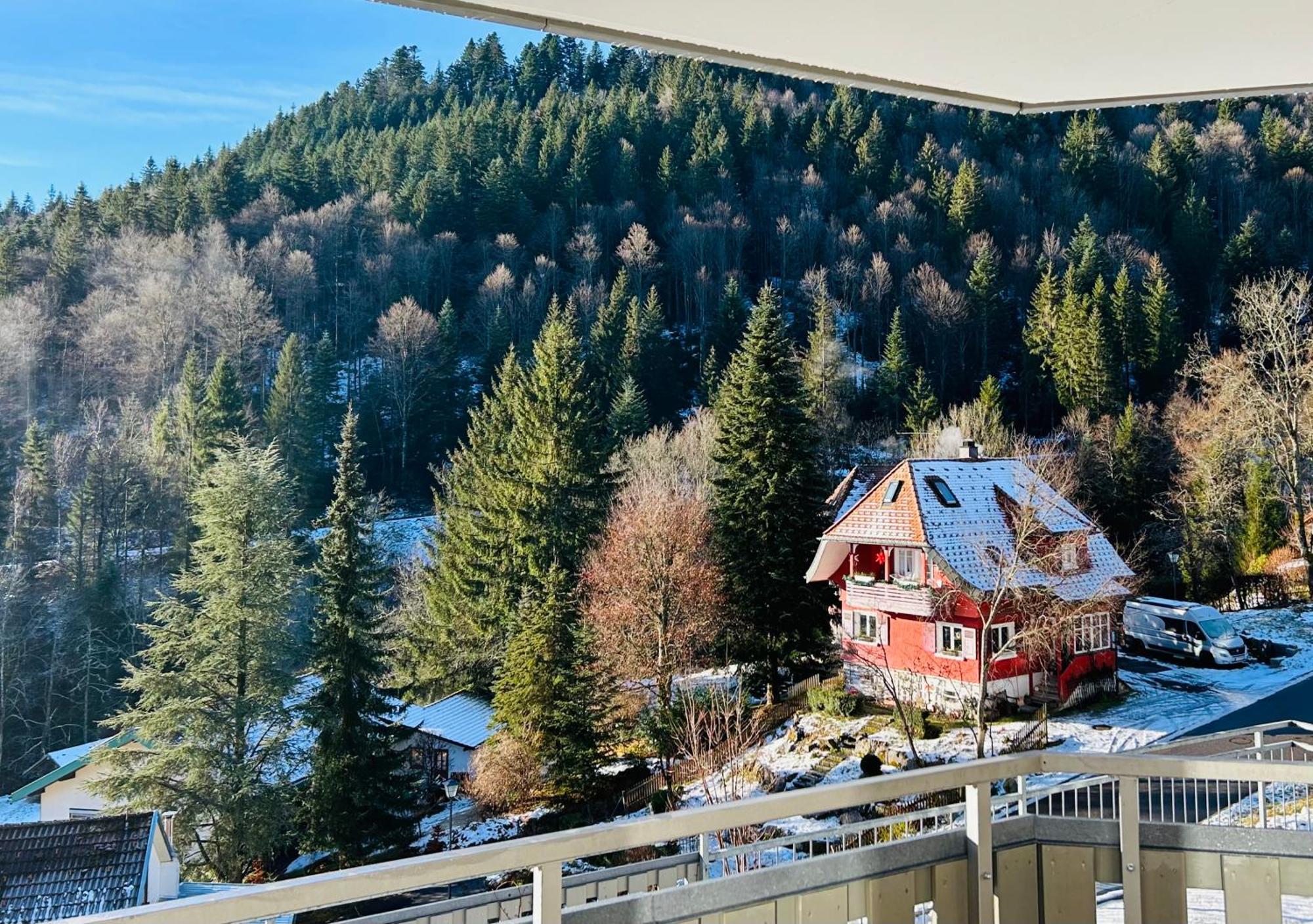 Ferienwohnung Panoramablick - Super Fuer Deine Familie Und Die Besten Aussicht In Ganz Тодтмос Екстериор снимка